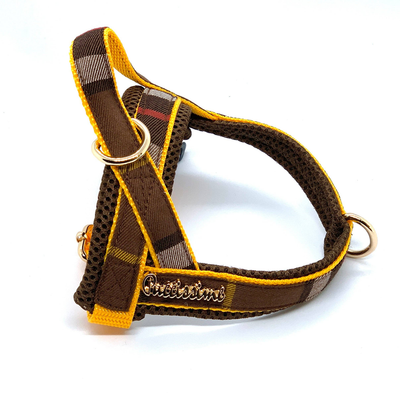 Experience Unmatched Convenience with the Medallion One-Click Dog Harness